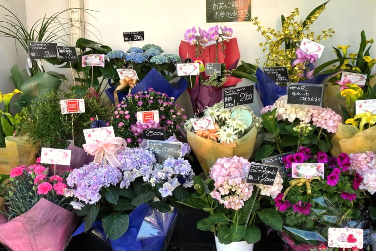 店頭に並ぶ季節の鉢花と花束